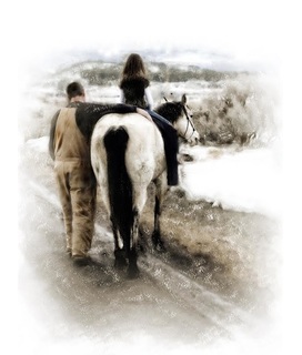 Mike Henrie Horsemanship Clinics in Utah